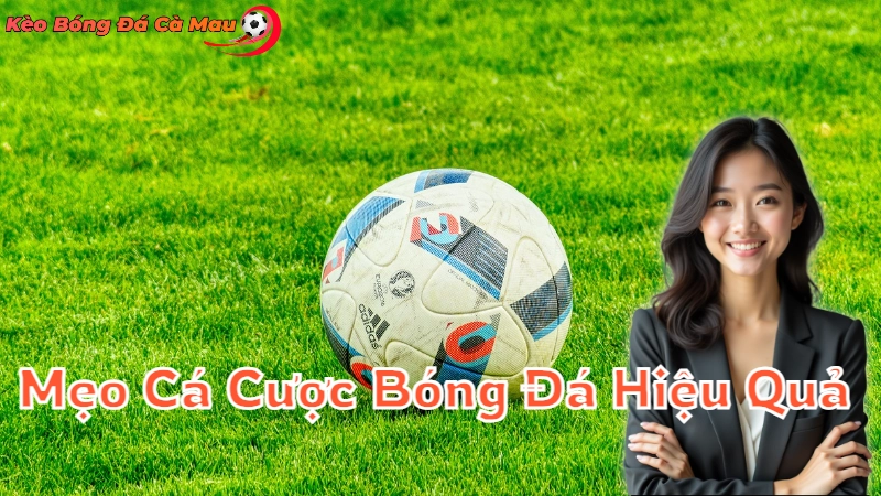 Mẹo Cá Cược Bóng Đá Hiệu Quả Cho Người Mới 2024