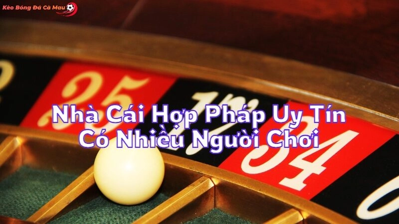 Nhà Cái Hợp Pháp Uy Tín Có Nhiều Người Chơi