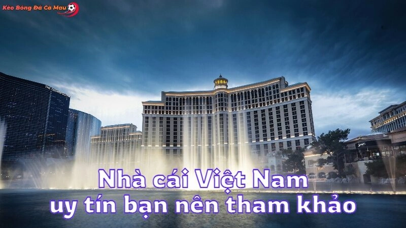 Nhà cái Việt Nam uy tín bạn nên tham khảo